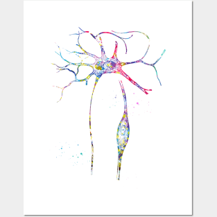 Neurons Cells Posters and Art